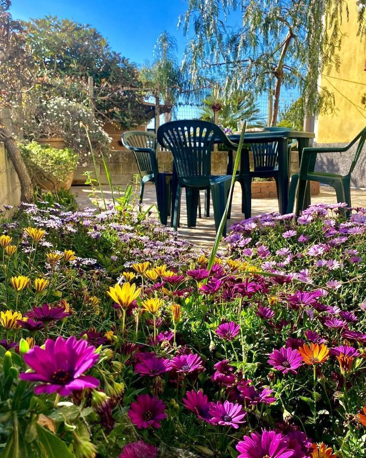 La Bouganville B&B Acconia Dış mekan fotoğraf